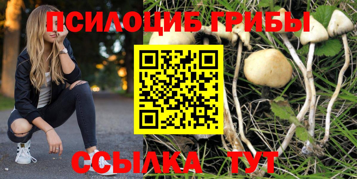 Галлюциногенные грибы Cubensis Симферополь
