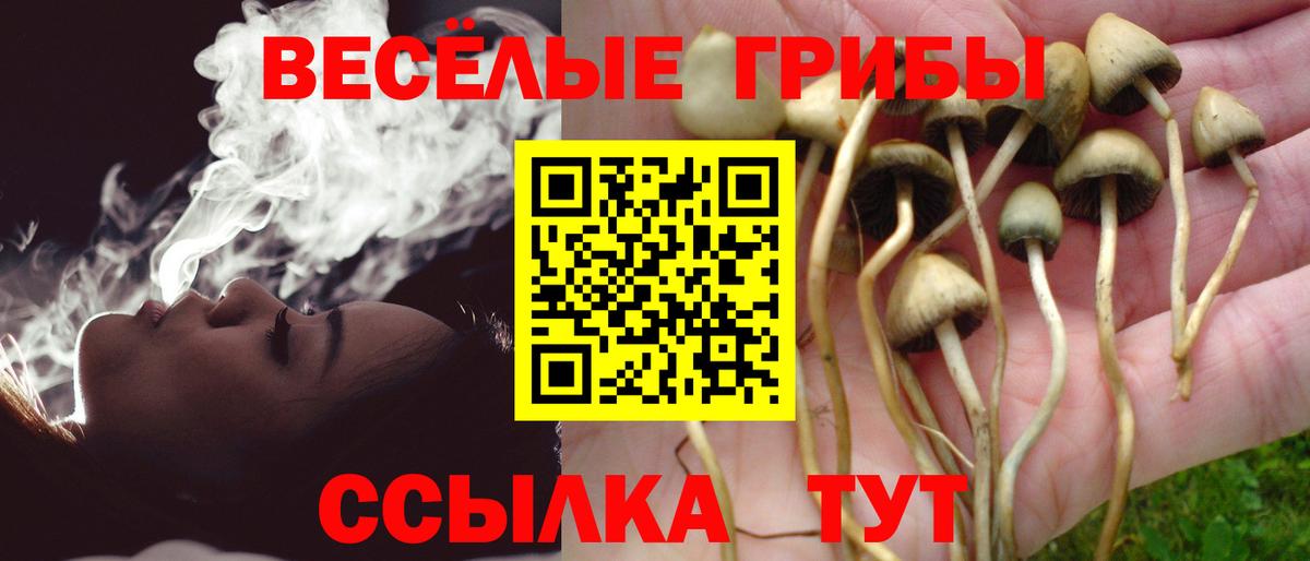 Симферополь  сколько стоит  Вход с VPN  Псилоцибиновые грибы Psilocybe 